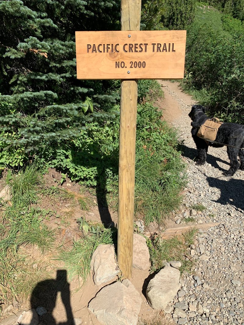 PCT Hike Chinook Pass SR410 to Dewey Lake and Back - All Things Walking